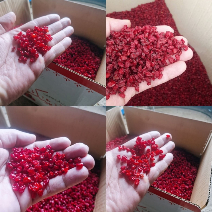 تصویر  زرشک اناری درجه یک 